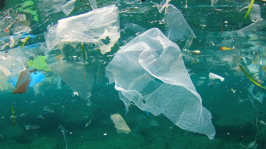 Sacs Plastique